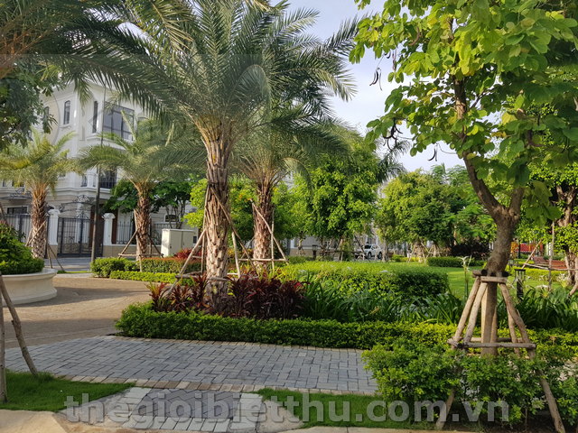 Cho thuê biệt thự tại Victoria Thạnh Mỹ Lợi – Nhà mới 100%, có thang máy, full máy lạnh – chỉ 75 triệu/tháng